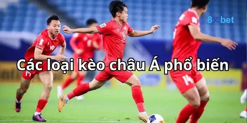 Kèo Châu Á - Tất Tật Thông Tin Về Kèo Châu Á Cho Người Mới Các loại kèo nhà cái châu Á đa dạng và phong phú