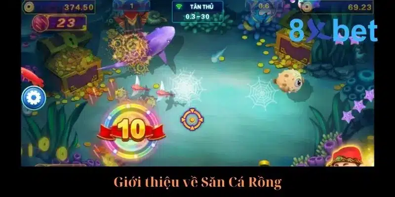 Cẩm Nang Săn Cá Rồng Rinh Về Thưởng Lớn Từ Cao Thủ Vài nét sơ lược về Săn Cá Rồng