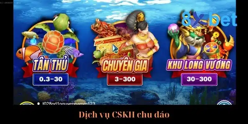 Cẩm Nang Săn Cá Rồng Rinh Về Thưởng Lớn Từ Cao Thủ Hỗ trợ người chơi 24h cực kỳ tận tình