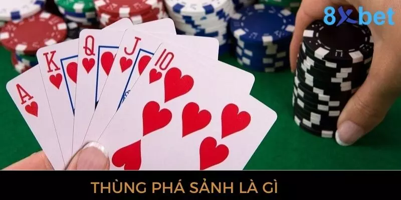 Thùng Phá Sảnh - Giải Mã Thuật Ngữ Trong Bài Mậu Binh Tìm hiểu thùng phá sảnh trong game bài là gì