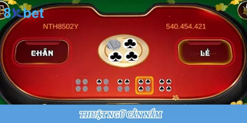 Cách Chơi Xóc Đĩa Chuẩn Nhất Dành Cho Người Mới Thuật ngữ cần nắm