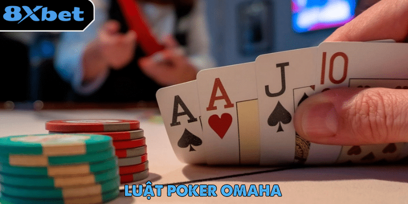 Luật Poker – Hành Trình Trở Thành Cao Thủ Game Bài Luật Poker Omaha có cấu trúc chơi tương tự Texas Hold’em