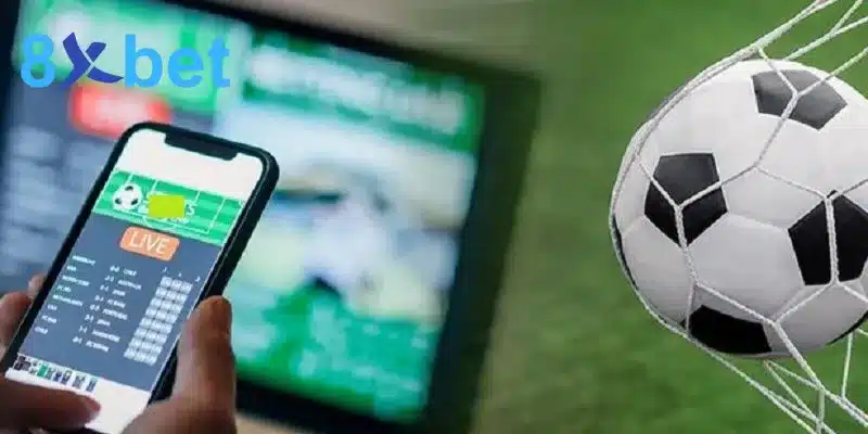 Áp dụng linh hoạt các nhận định cược từ chuyên gia